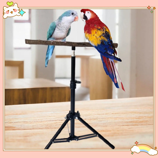 Percha de madera para loros, juguete para ejercicio, suministros para mascotas para cacatúas, periquitos, Conures