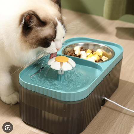 Dispensador de Comida para Mascota