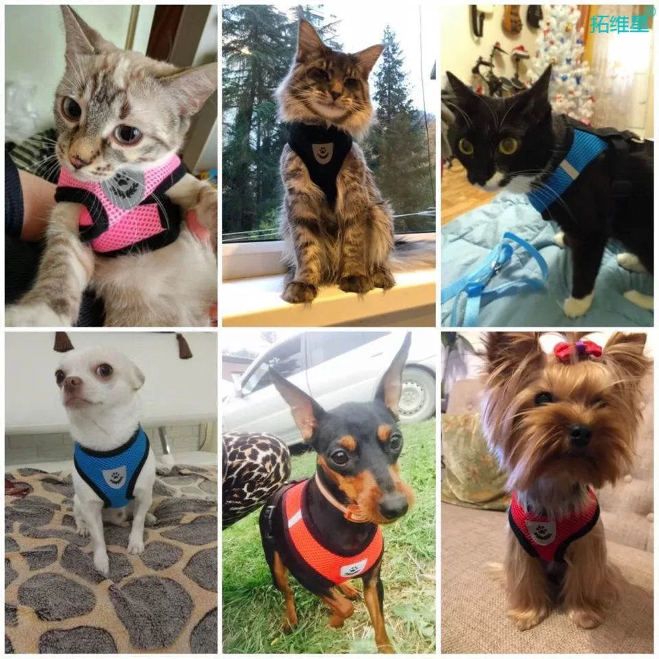 Conjunto de arnés y correa para perros pequeños y gatos de malla transpirable, arnés ajustable para gatos, chaleco para cachorros, Bulldog Francés, Chihuahua, Pug