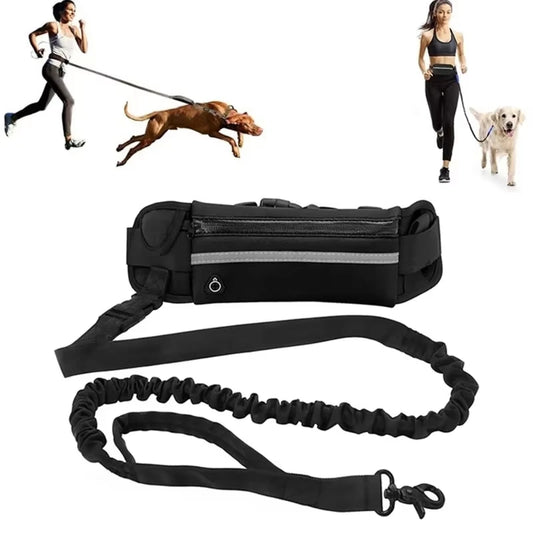 Correa para Perro de Alta Visibilidad, Manos Libres, Reflectante, con Bolsa de Cintura, Retráctil y Elástica, para Correr y Caminar, Accesorios para Mascotas HD