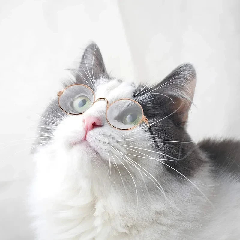 1-6 piezas Gafas de sol divertidas para mascotas, redondas de metal, estilo retro clásico para gatos, con correa antideslizante, accesorios para fiestas de mascotas y fotos