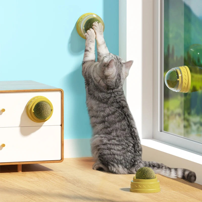 Bola adhesiva de pared de gato con hierba gatera Natural, juguete para golosinas, elimina bolas de pelo naturales saludables para promover la digestión, aperitivos de hierba para gatos para mascotas