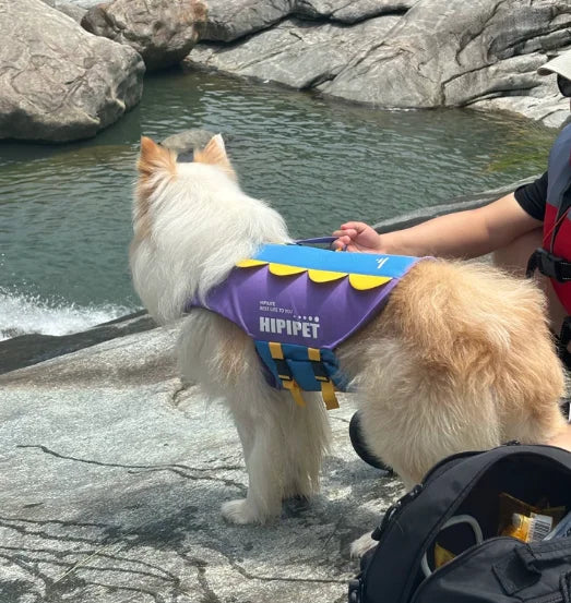 Chaleco Salvavidas para Perros BXX, Diseño de Tiburón, Flotador con Cabeza, Anti-Asfixia, Alta Flotabilidad, con Asa Superior