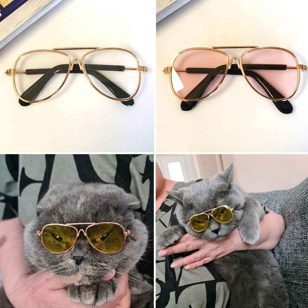 Gafas de sol redondas para perro y gato, accesorios para fotos, productos para mascotas