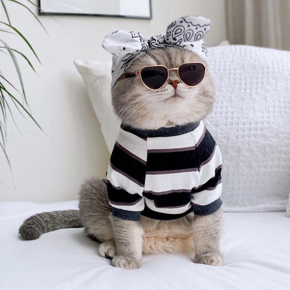 Gafas de sol redondas para perro y gato, accesorios para fotos, productos para mascotas
