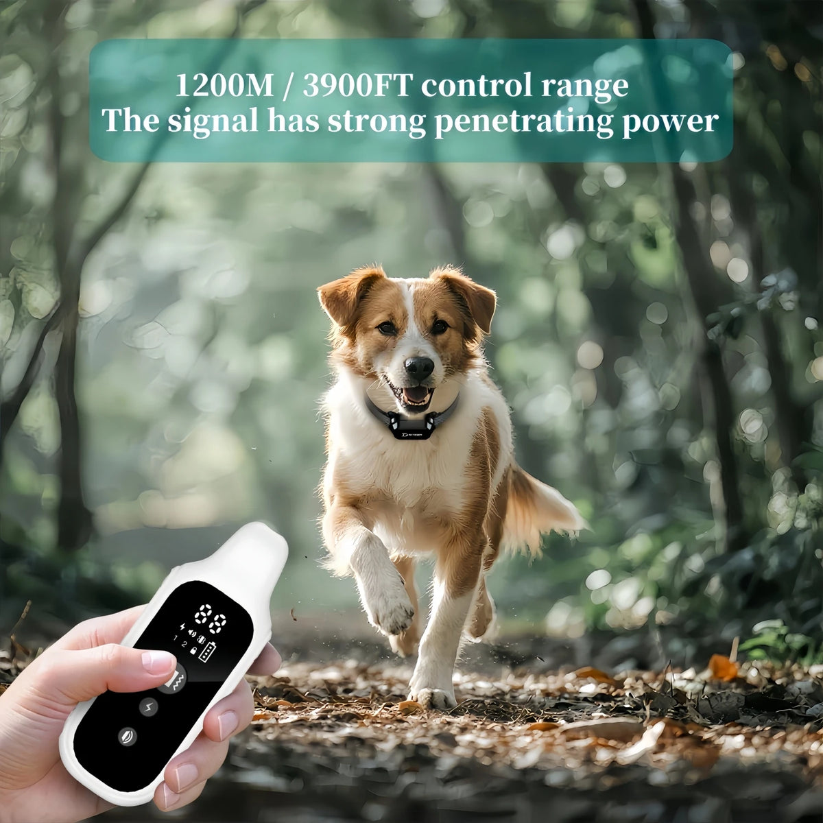 Collar de Adiestramiento Eléctrico para Perros de 3300 Pies de Alcance, Desmontable, Recargable, Antiladridos, con Vibración y Control Remoto + Automático