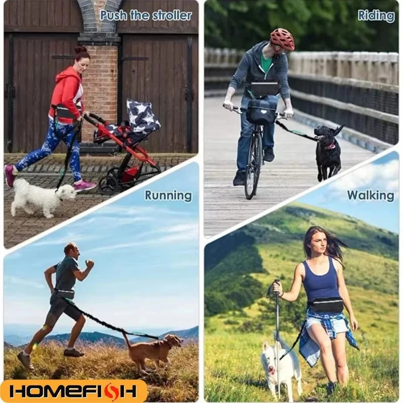 Correa para Perro de Alta Visibilidad, Manos Libres, Reflectante, con Bolsa de Cintura, Retráctil y Elástica, para Correr y Caminar, Accesorios para Mascotas HD