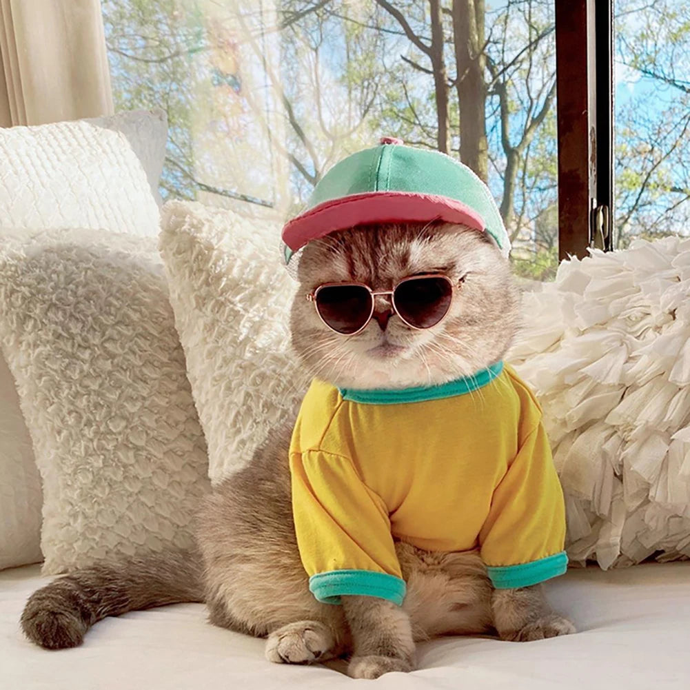 Gafas de sol redondas para perro y gato, accesorios para fotos, productos para mascotas