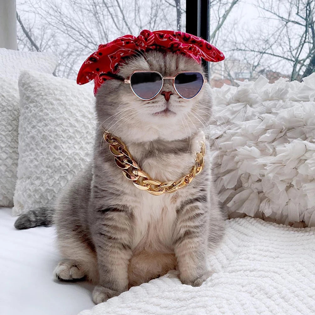Gafas de sol redondas para perro y gato, accesorios para fotos, productos para mascotas