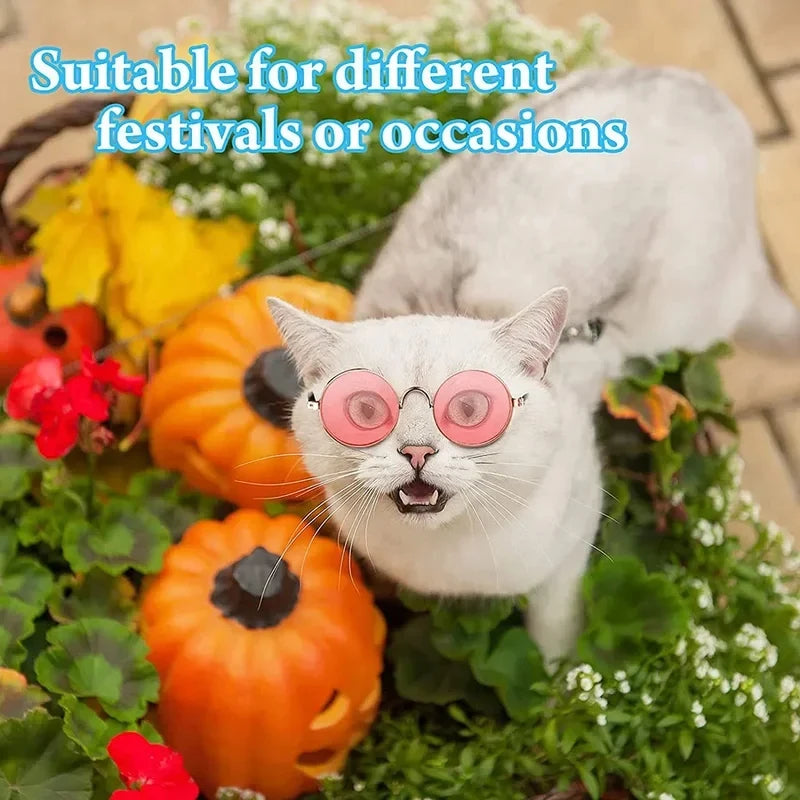1-6 piezas Gafas de sol divertidas para mascotas, redondas de metal, estilo retro clásico para gatos, con correa antideslizante, accesorios para fiestas de mascotas y fotos