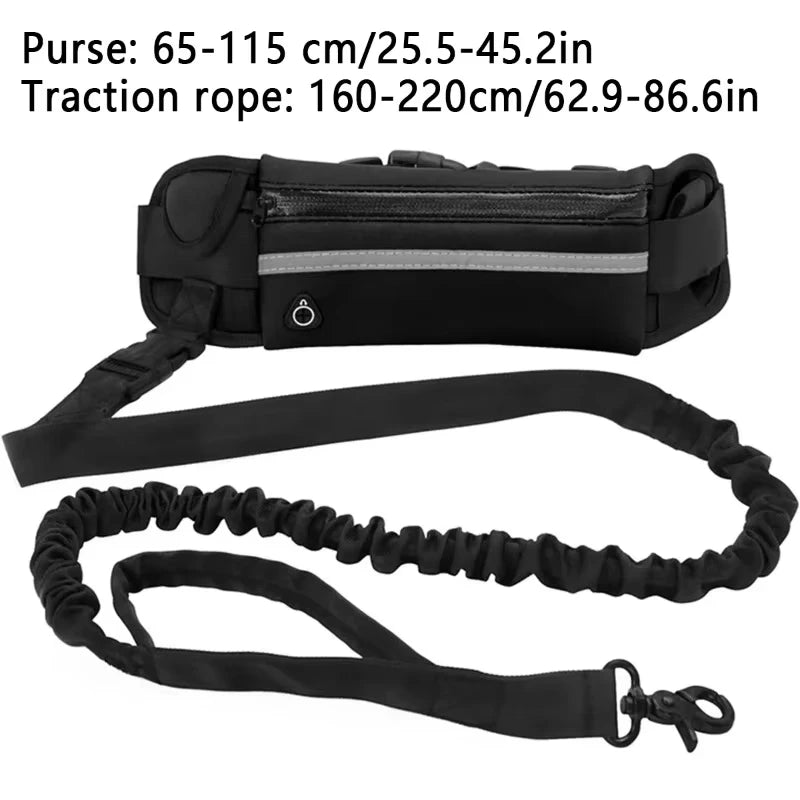 Correa para Perro de Alta Visibilidad, Manos Libres, Reflectante, con Bolsa de Cintura, Retráctil y Elástica, para Correr y Caminar, Accesorios para Mascotas HD