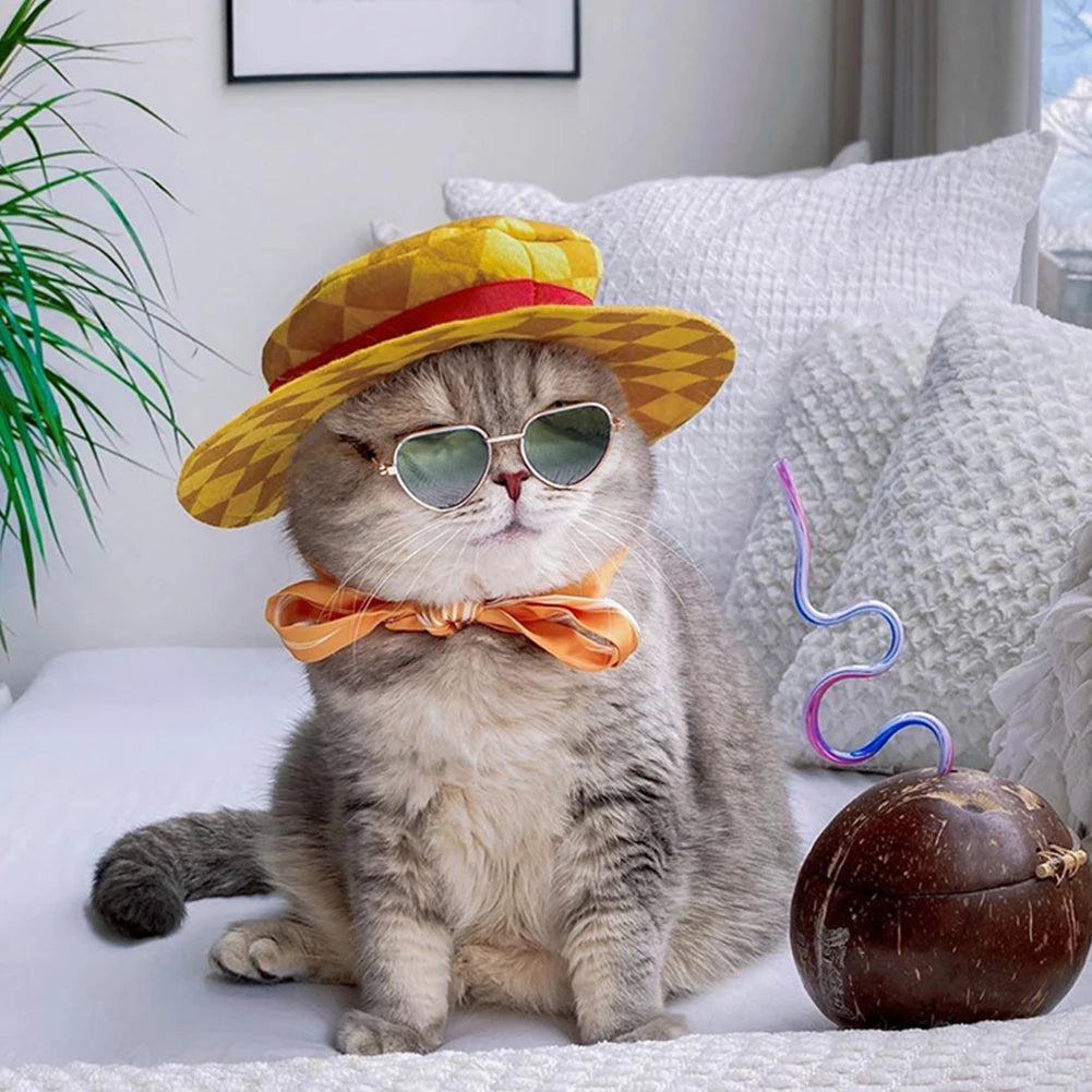 Gafas de sol redondas para perro y gato, accesorios para fotos, productos para mascotas