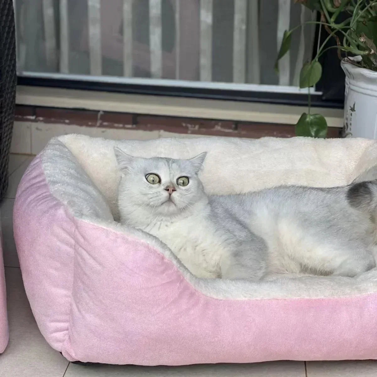 Camas para Gatos, Productos para Mascotas, Cojines, Accesorios de Invierno para Gatitos, Artículos para Perros, Suministros para el Hogar, Accesorios, Cestas, Camas para Mascotas