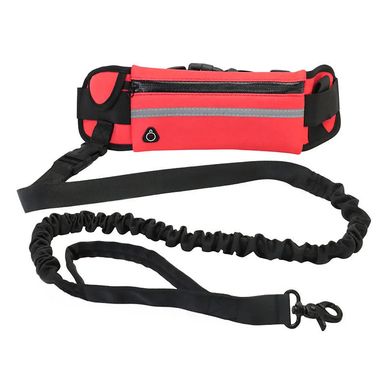 Correa para Perro de Alta Visibilidad, Manos Libres, Reflectante, con Bolsa de Cintura, Retráctil y Elástica, para Correr y Caminar, Accesorios para Mascotas HD