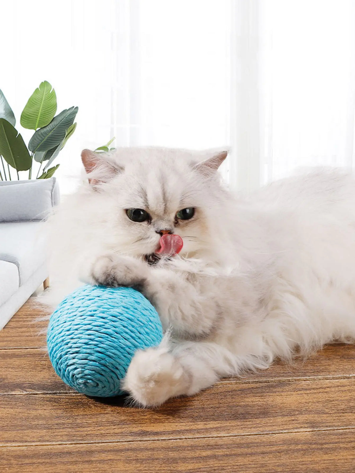 Juguete interactivo de sisal para gatos de 8-10 cm, pelota para rascar, para limpieza de dientes de gatitos, anti-mordidas, pelota sonora para gatos, artículos para mascotas